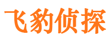 汉中市调查公司